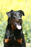 BEAUCERON 814